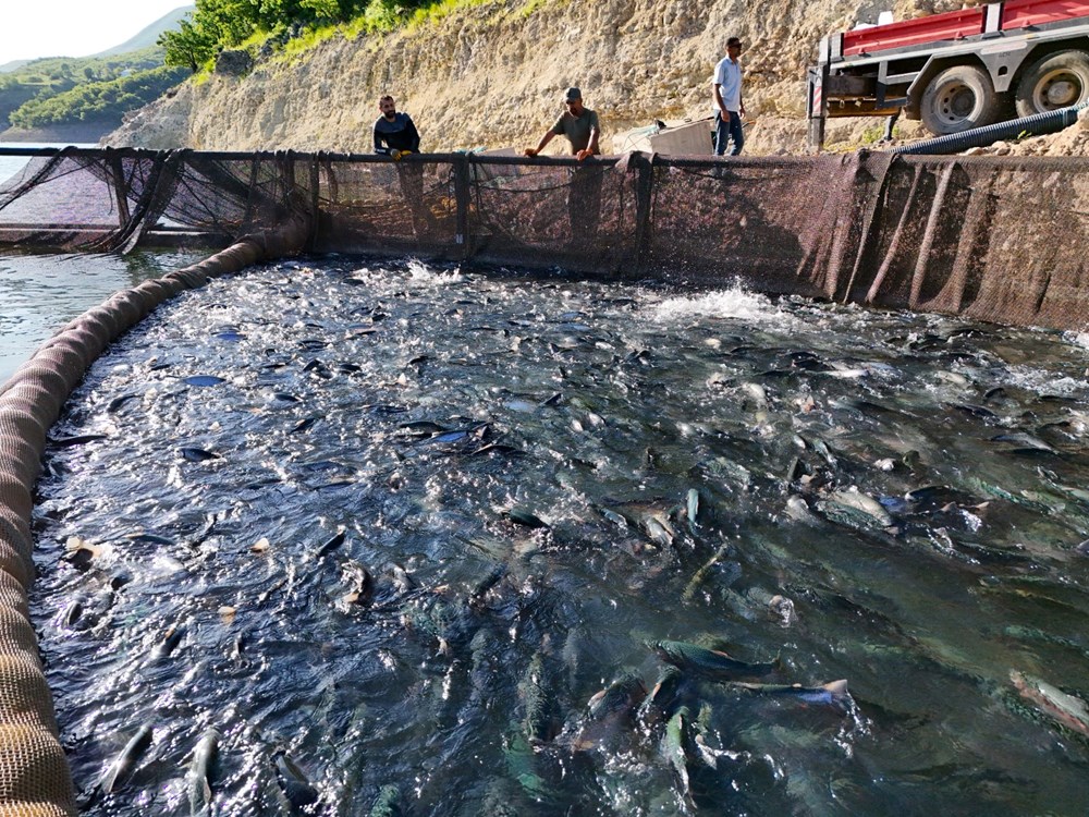 whBqBart1EyjWd7M51PDhw