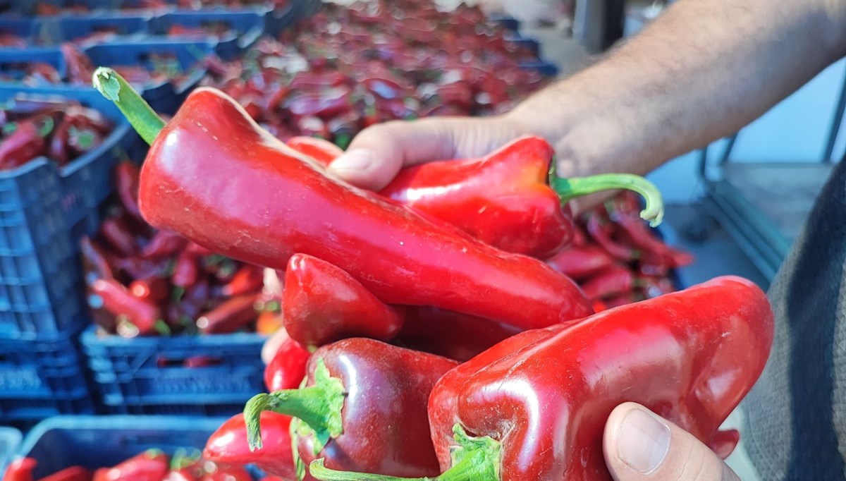 Pazara giden almadan dönmüyor:  Kış hazırlığı başladı