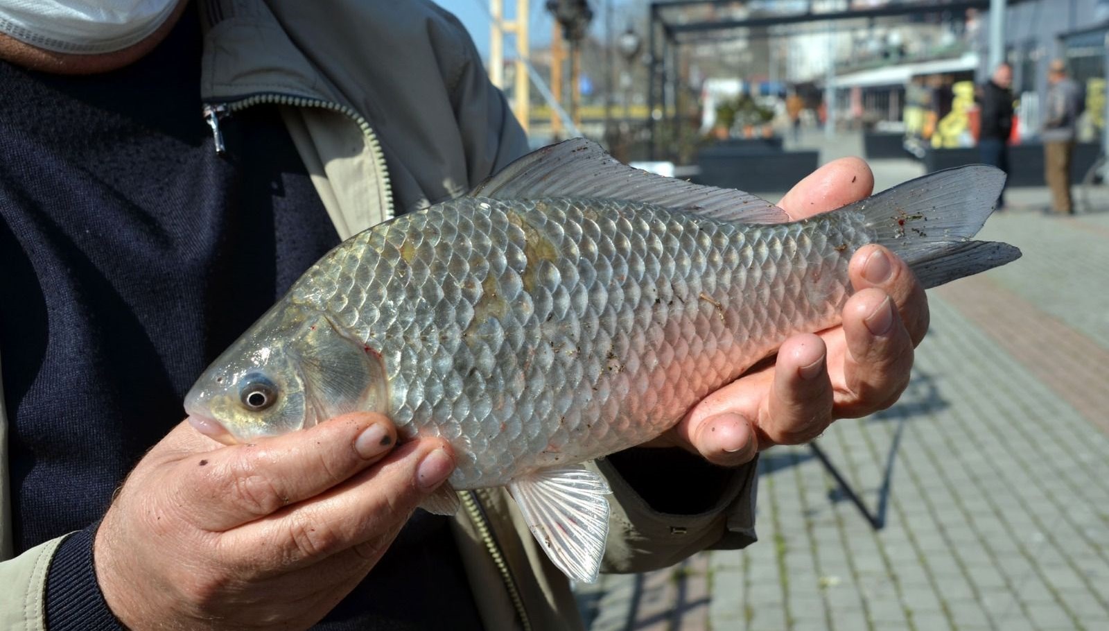 Zonguldak Haberleri Son Dakika Zonguldak Haberleri NTV