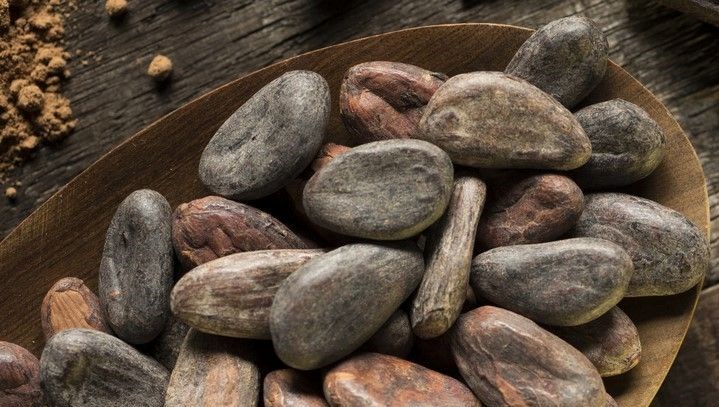 İngiliz profesör açıkladı: Yıllarca zararlı olduğunu söylediler ama hafızayı zehir gibi çalıştırıyor