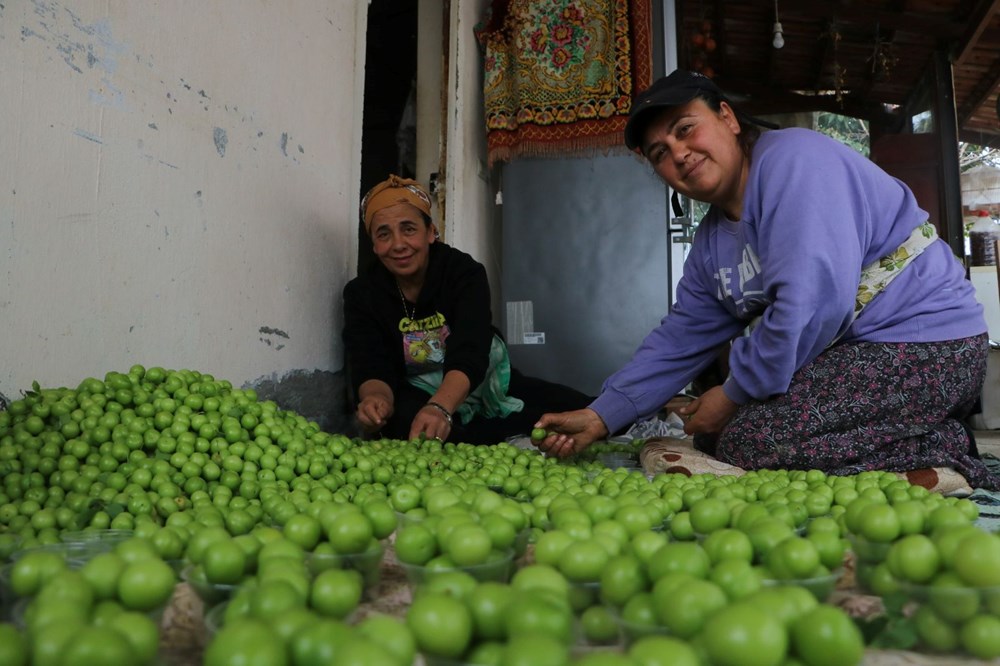 4 bin metrekare alanda üretiyor, kilosu 500 TL: Hatay'dan dünyaya yayılıyor 77 wkAsLLI TUOlzg91ko2zZQ