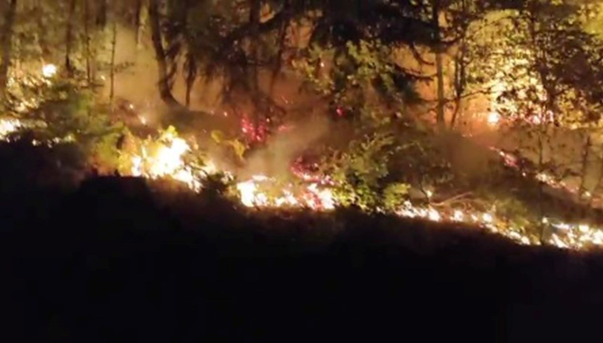 Yığılca yangını 2 saatte kontrol altında