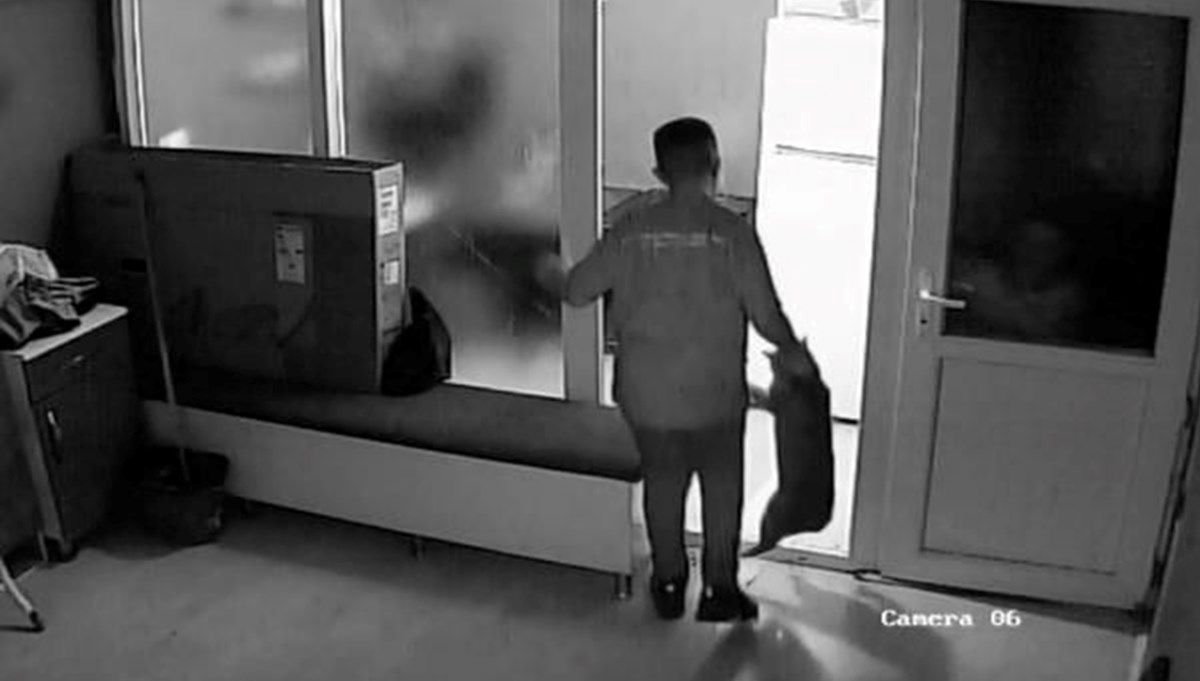 Kediye şiddet uygulayan çocuk gözaltına alındı Kediye şiddet uygulayan çocuk gözaltına alındı