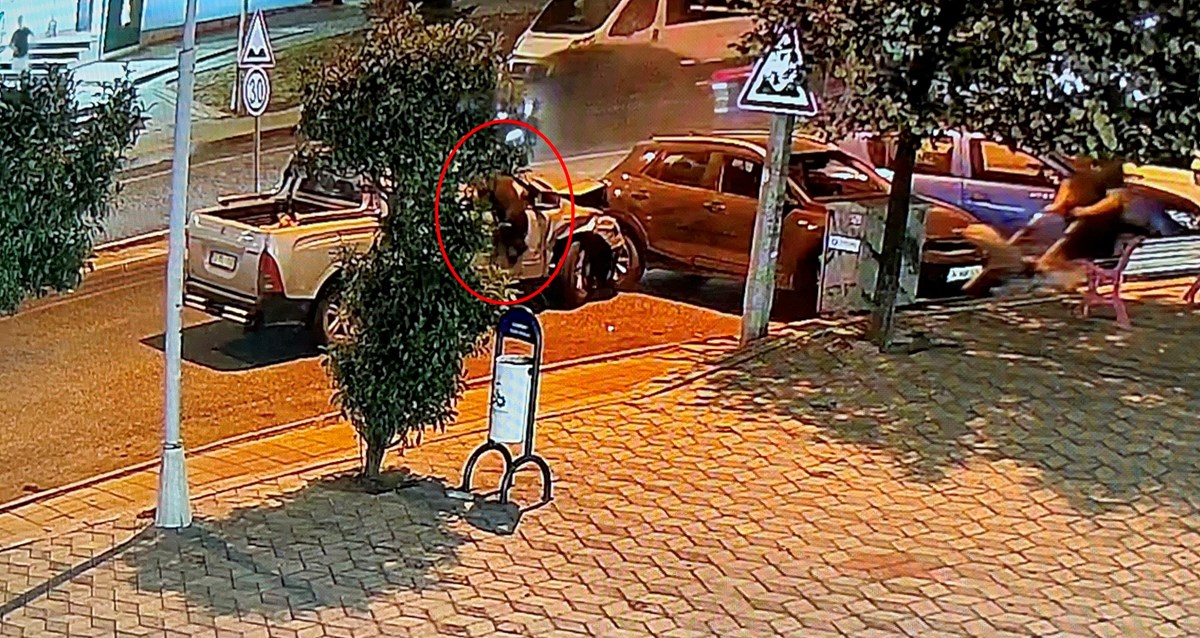 Güvenlik kamerası görüntüleri Güvenlik kamerası görüntüleri