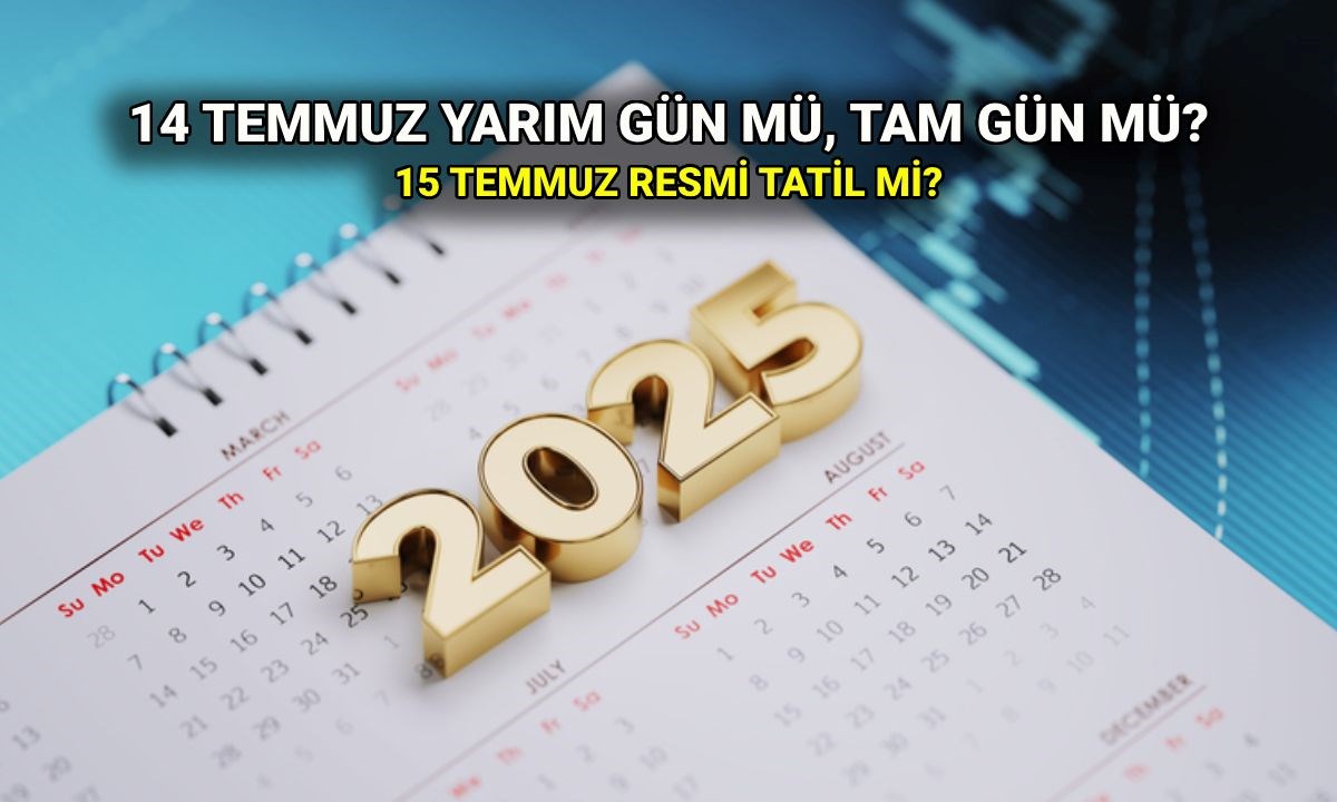 wmDZF2iXtk2lX_NRaStigw.jpg