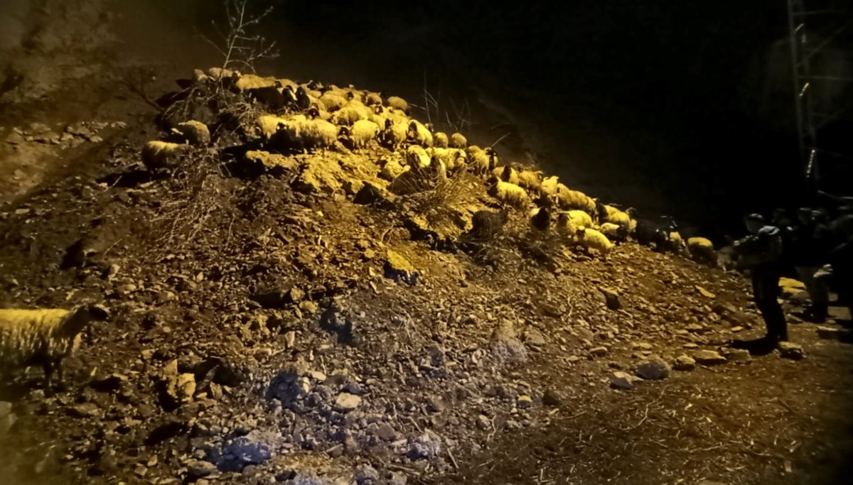 Hakkari'de heyelan: Küçükbaş hayvanlar toprak altında kaldı Hakkari'de heyelan: Küçükbaş hayvanlar toprak altında kaldı
