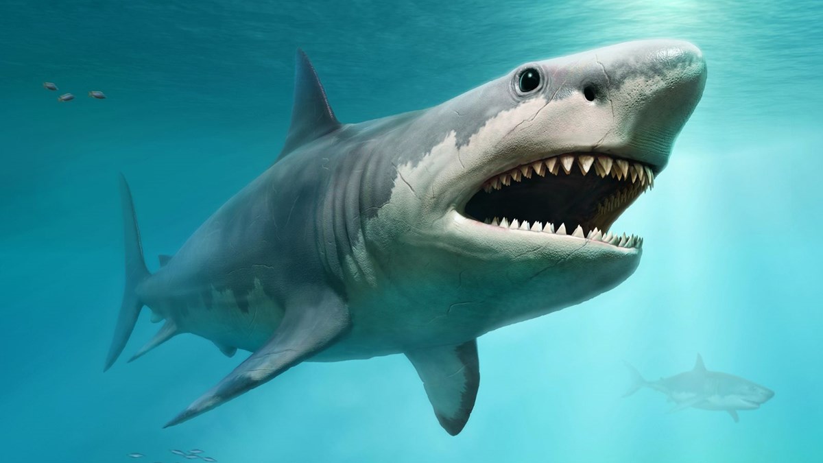 dev dis megalodonlar yok oldu mu megalodon filminin konusu ne oyuncu kadrosunda kimler var magazin haberleri ntv