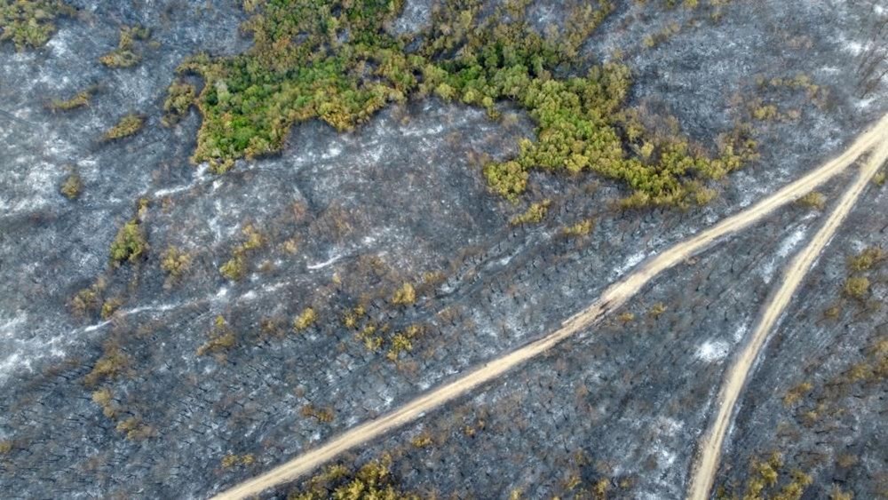 Çanakkale'de yeşil, griye döndü! Gelibolu'da yanan alanlardan can yakan görüntü - 4