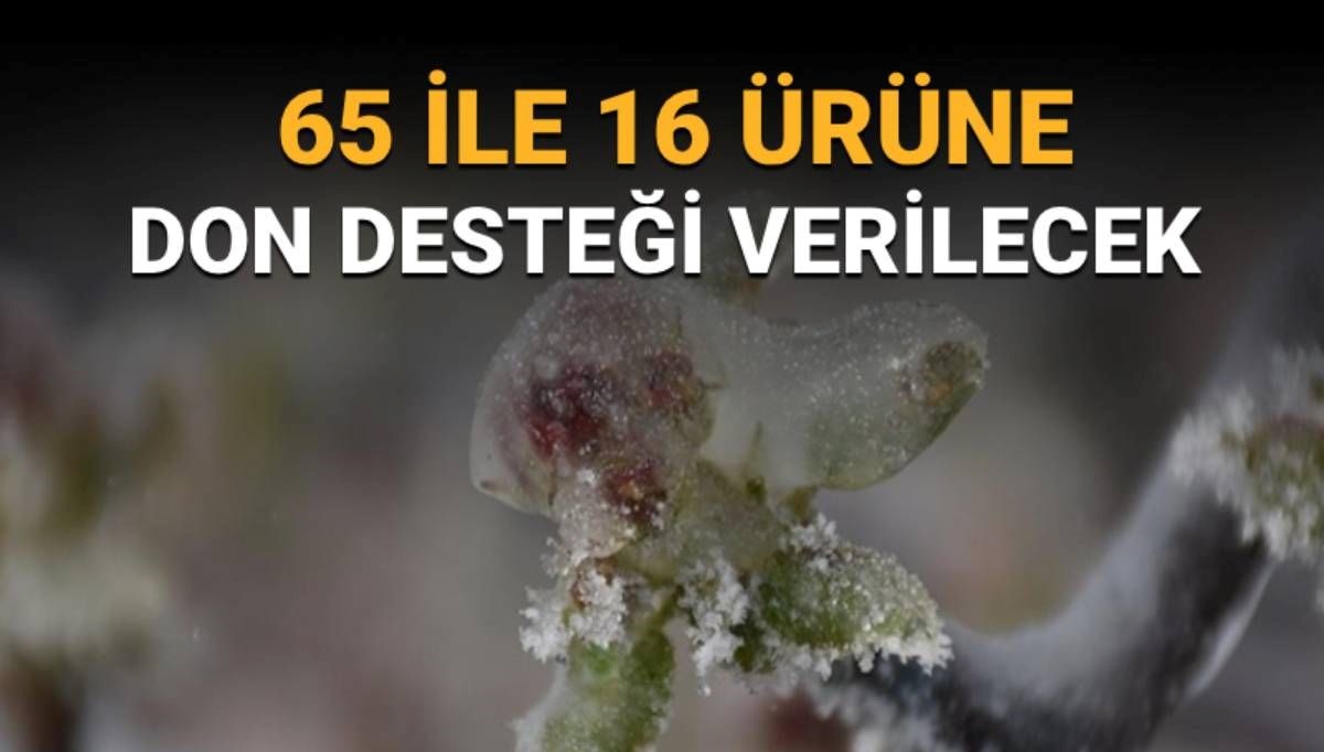 Zirai don desteği ne zaman, kimlere yatacak?