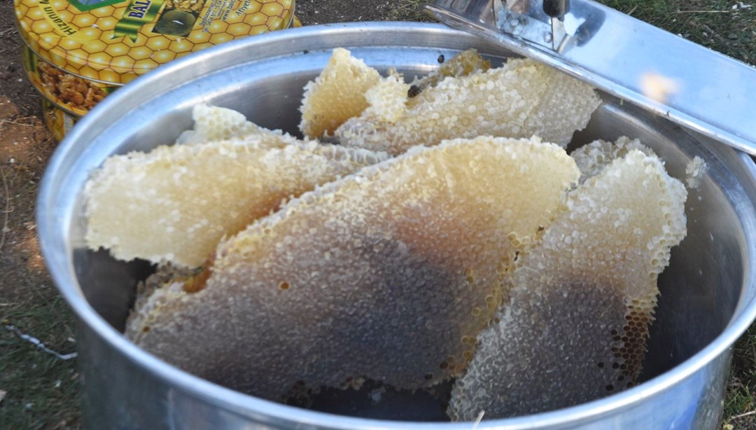 "Altın Bal" ödülüne layık görüldü: Kilosu 2 bin TL'yi buluyor