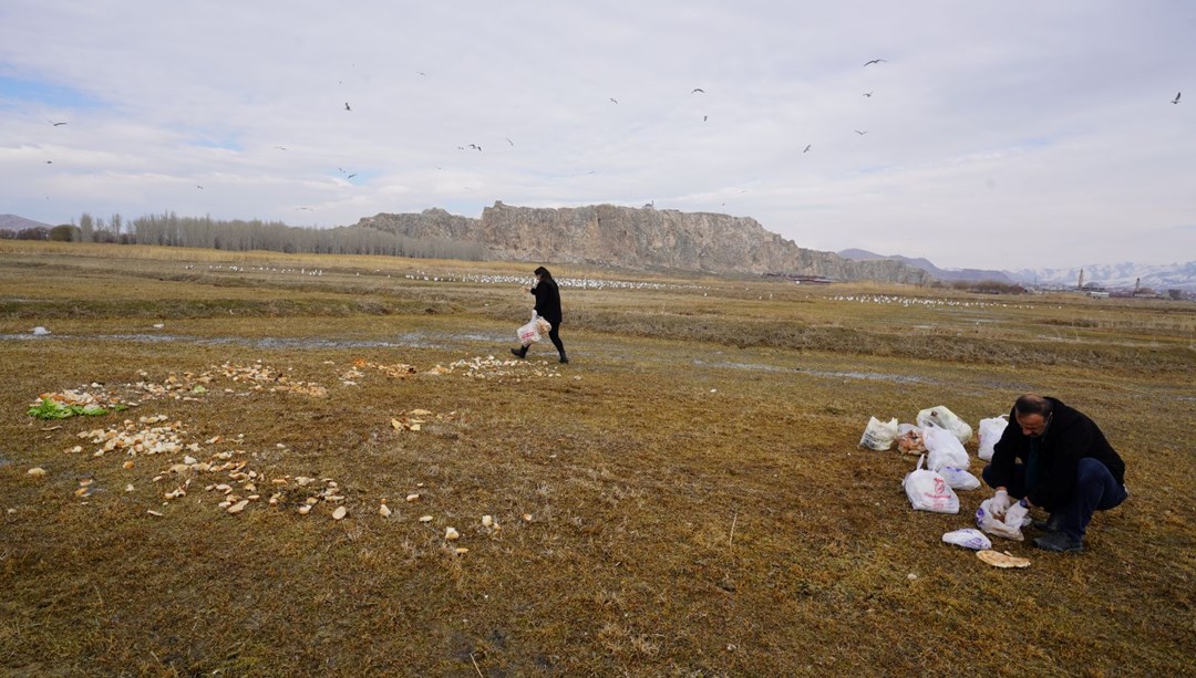 17 yıldır ekmek kırıntısı topluyor: "Allah rızası için bu işi yapıyorum"