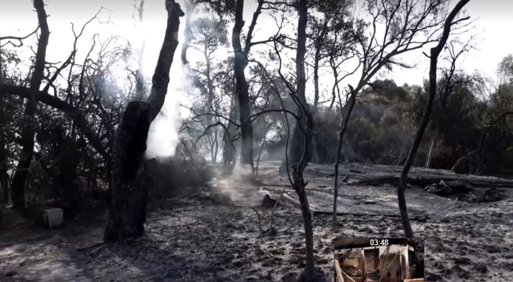 Akdeniz alev aldı: Yunanistan ve İtalya’da orman yangınları sürüyor - 50