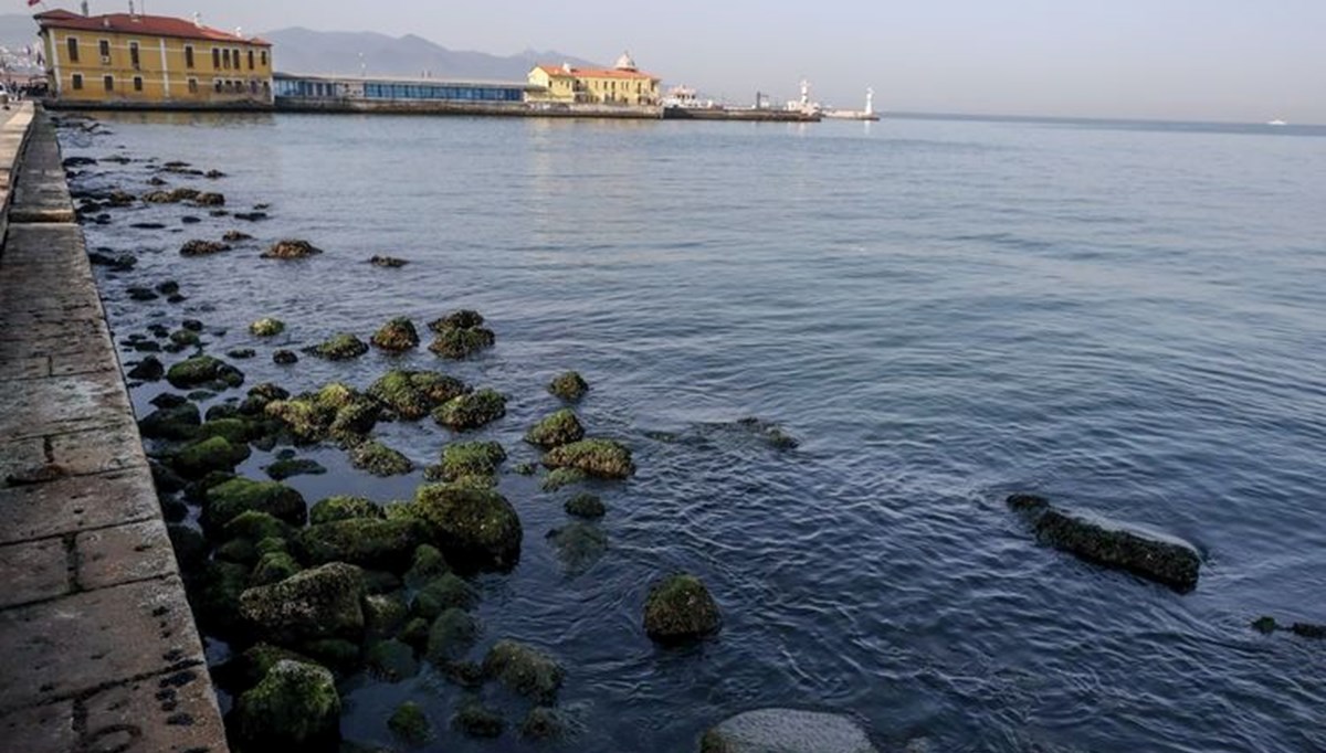 Dalış yaparken denizde kayboldu