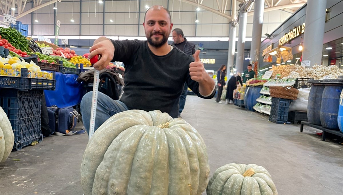 Devasa kabak görenleri şaşırttı