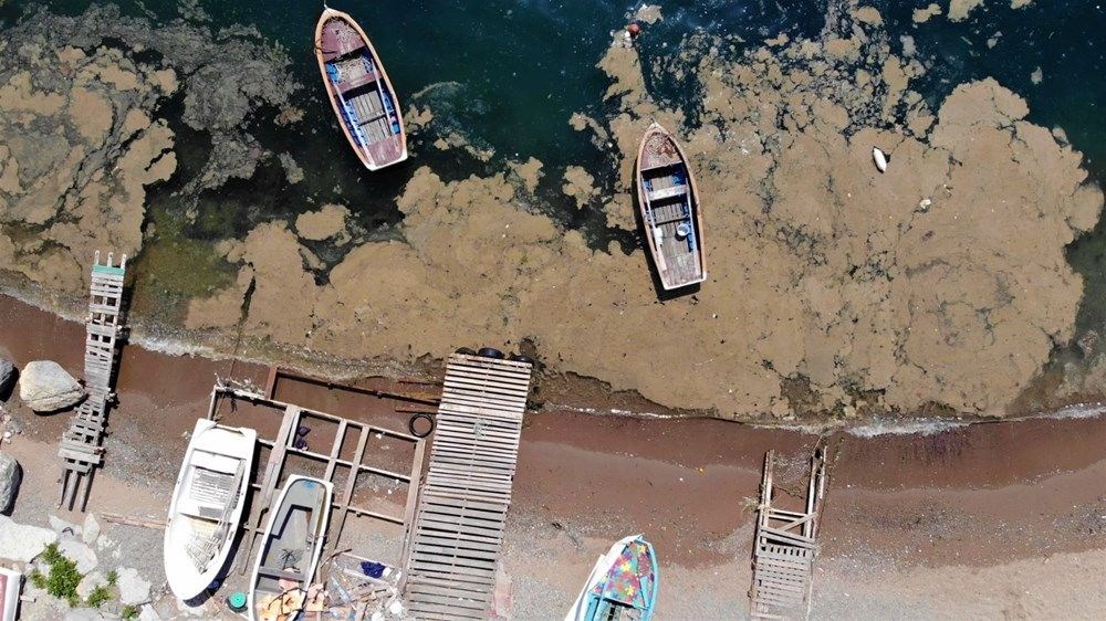 "marmara 5 yılda temizlenebilir" 8 x2yocnh2 0azsvopvedara