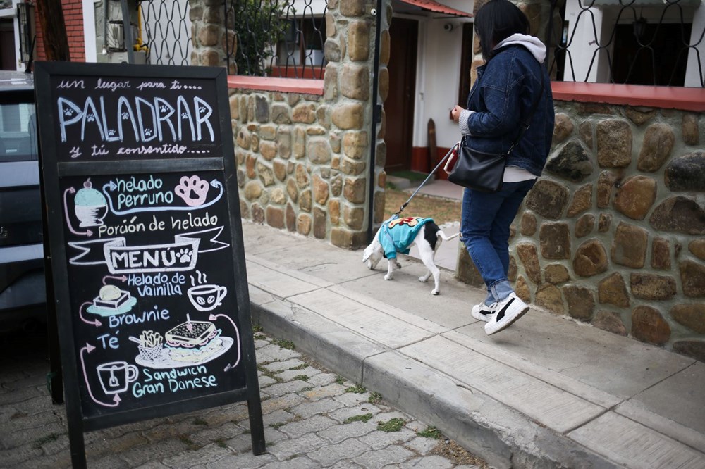 Dünyanın ilk köpek restoranı Bolivya'da açıldı - 4