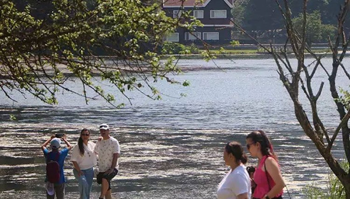 Bolu Valiliği duyurdu! 1 Temmuz itibarıyla ormanlara giriş yasaklandı Bolu Valiliği duyurdu! 1 Temmuz itibarıyla ormanlara giriş yasaklandı