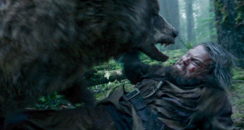 Vikinglerin ayısı DiCaprio'nun ayısına karşı - 1