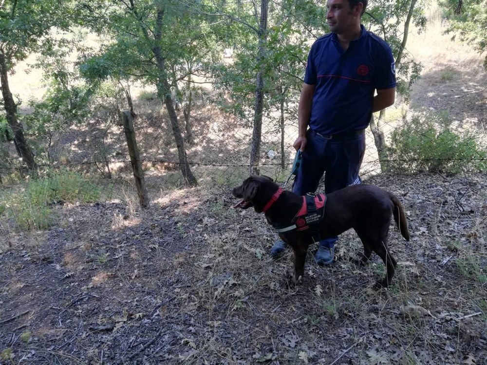 1 milyon lira ödüle rağmen kayıp Korhan Berzeg'ten 2 aydır haber yok - 6