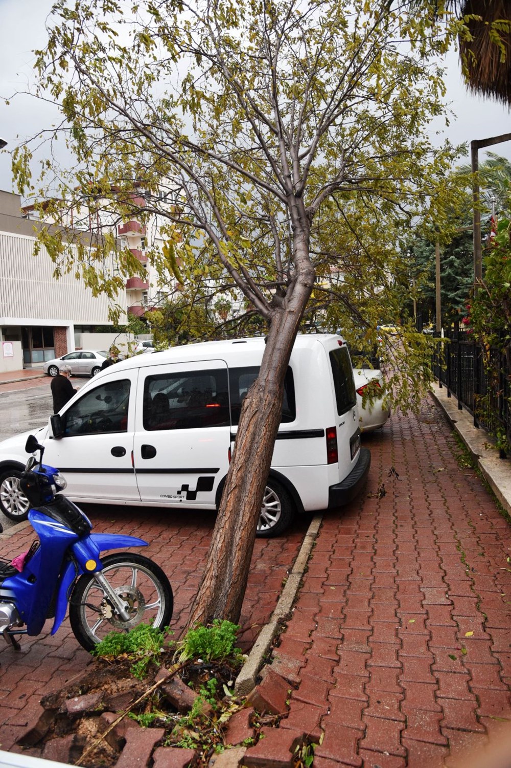 Antalya'yı fırtına vurdu: Dev dalgalar oluştu, ağaçlar devrildi - 21