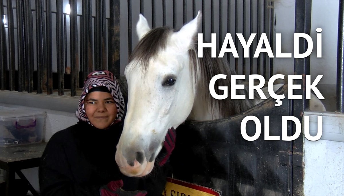 At merakı mesleği oldu