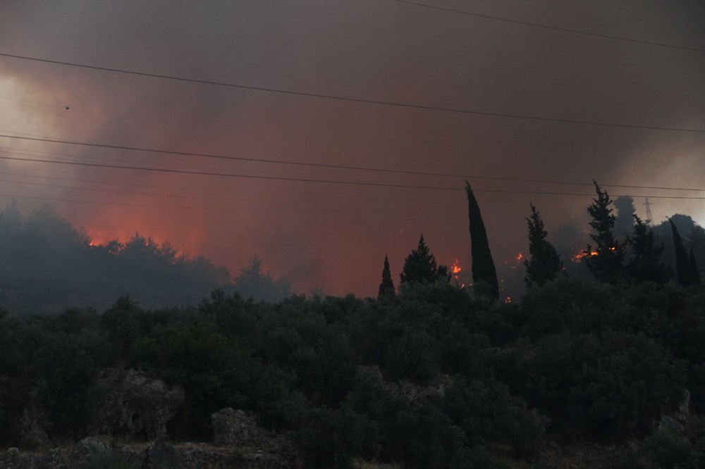 Aydın Söke'de orman yangını - 8
