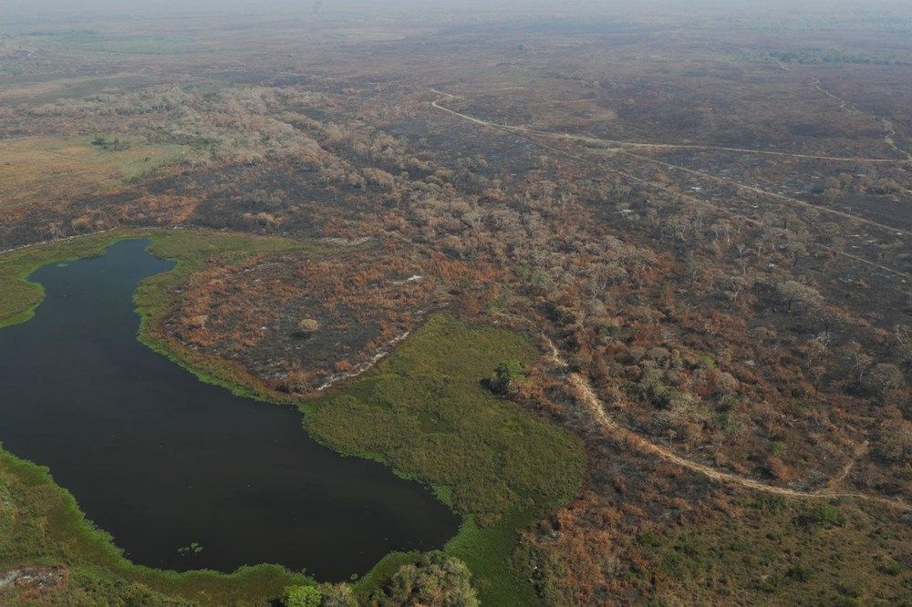 Dünyanın geleceği alarm veriyor: Son 50 yılda dünyadaki sulak alanların yüzde 35'i yok oldu - 6