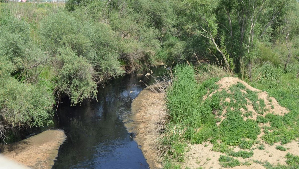 Tarım alanlarını besleyen Alaşehir Çayı siyaha büründü