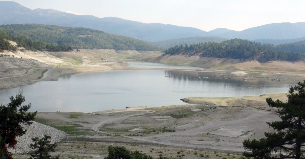Baraj gölünde yüzlerce balık kıyıya vurdu, inceleme başlatıldı - 8