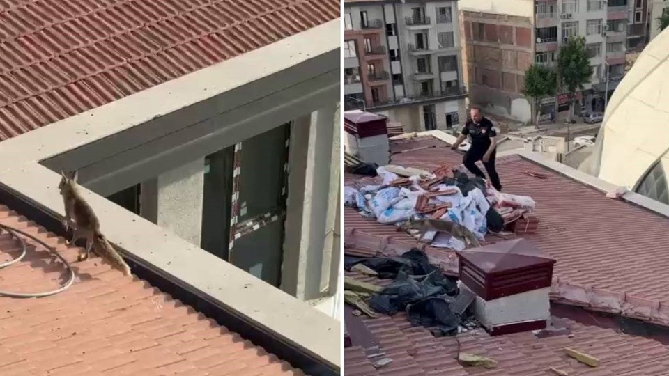 Şehir merkezine indi, çatıya çıktı: Ekipler harekete geçti - 1