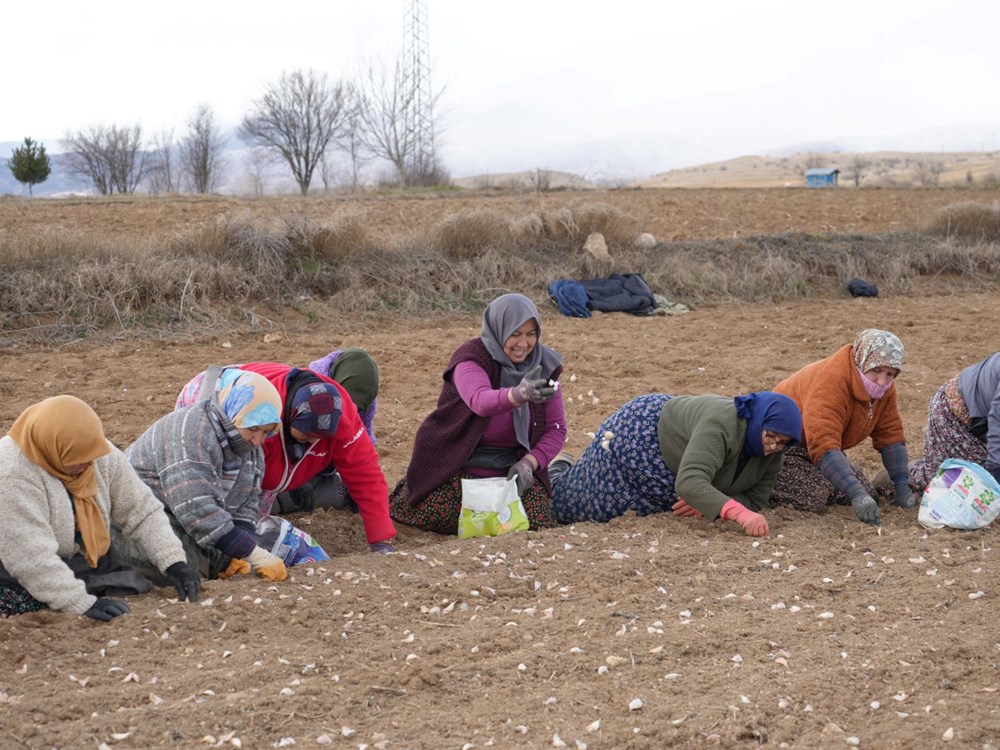 35 yıldır sarımsak tarlasında çalışıyor: "Düğüne gider gibi sarımsak tarlasına geliyorum" - 4