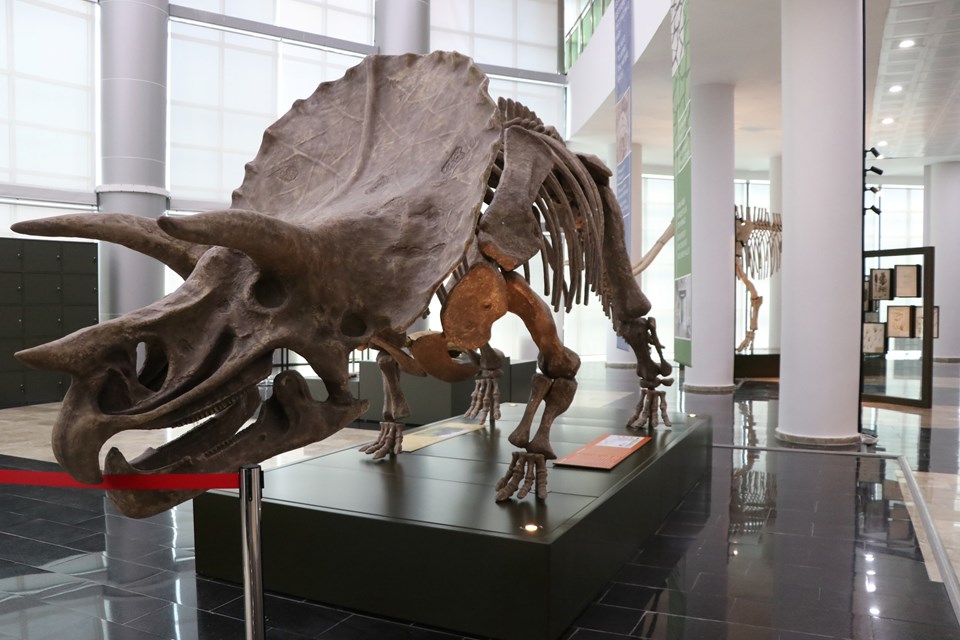 Milyonlarca yıllık fosillerin sergilendiği müze açılışa hazırlanıyor - 1