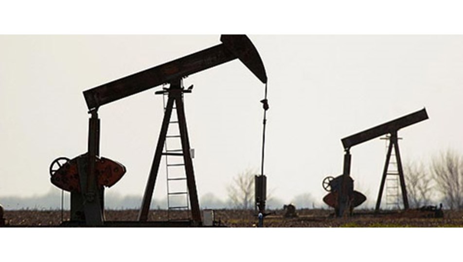 Her iki kuyudan birinde petrol veya gaz çıktı