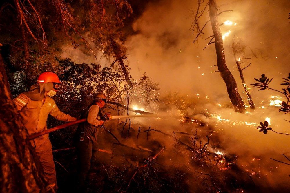 Çanakkale ve Muğla'da orman yangını: Gelibolu'da alevler büyük ölçüde kontrol altında - 4