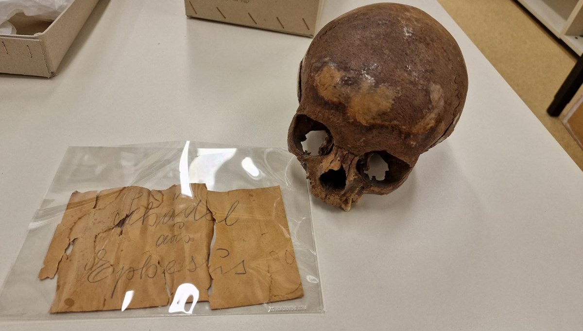 100 yıl önce İzmir'de bulunmuştu: Kleopatra'nın kız kardeşine ait değilmiş! 100 yıl önce İzmir'de bulunmuştu: Kleopatra'nın kız kardeşine ait değilmiş!