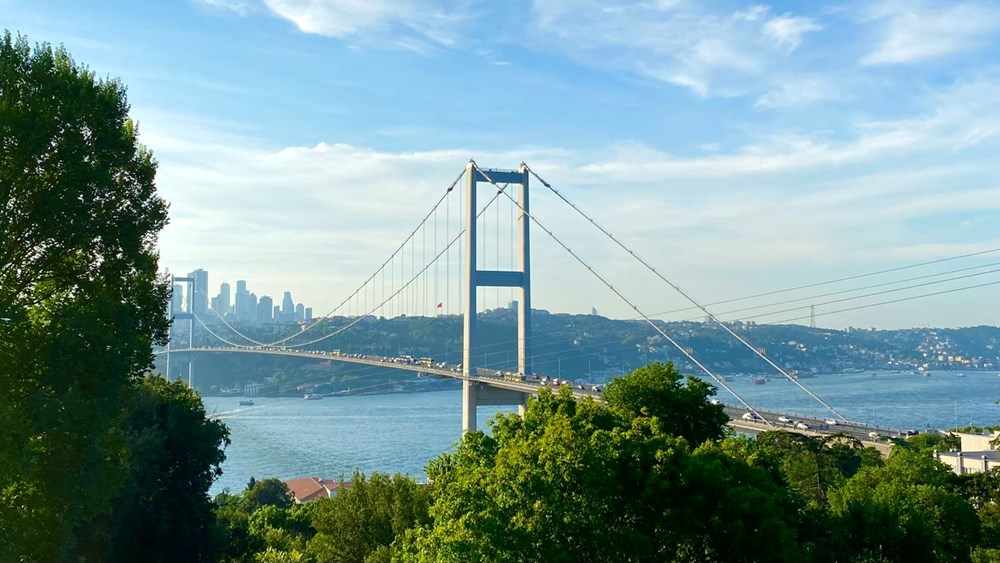 İstanbul'un ilçelerinde en çok hangi ilden insanlar yaşıyor? - 25