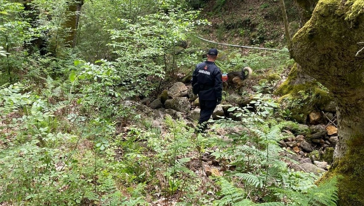 Korhan Berzeg’den ilk iz | Bölgede başka kemikler var mı? Kadavra köpeğiyle arama sürüyor