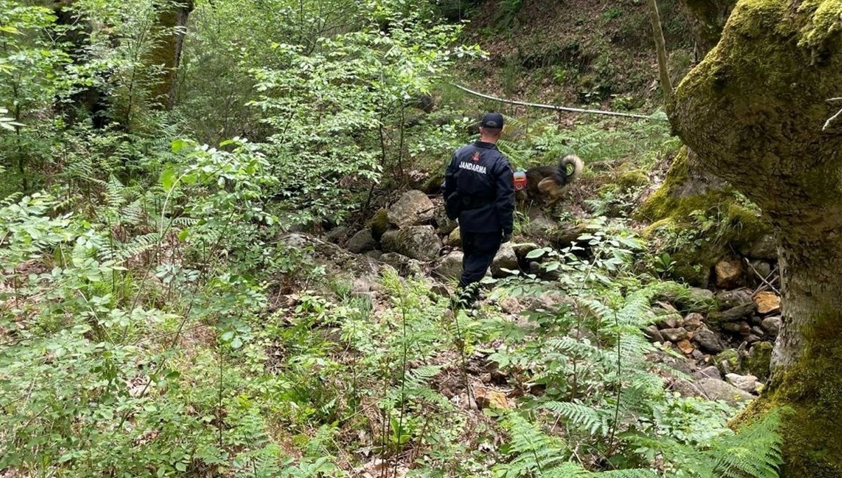 Korhan Berzeg’den ilk iz | Bölgede başka kemikler var mı? Kadavra köpeğiyle arama sürüyor Korhan Berzeg’den ilk iz | Bölgede başka kemikler var mı? Kadavra köpeğiyle arama sürüyor