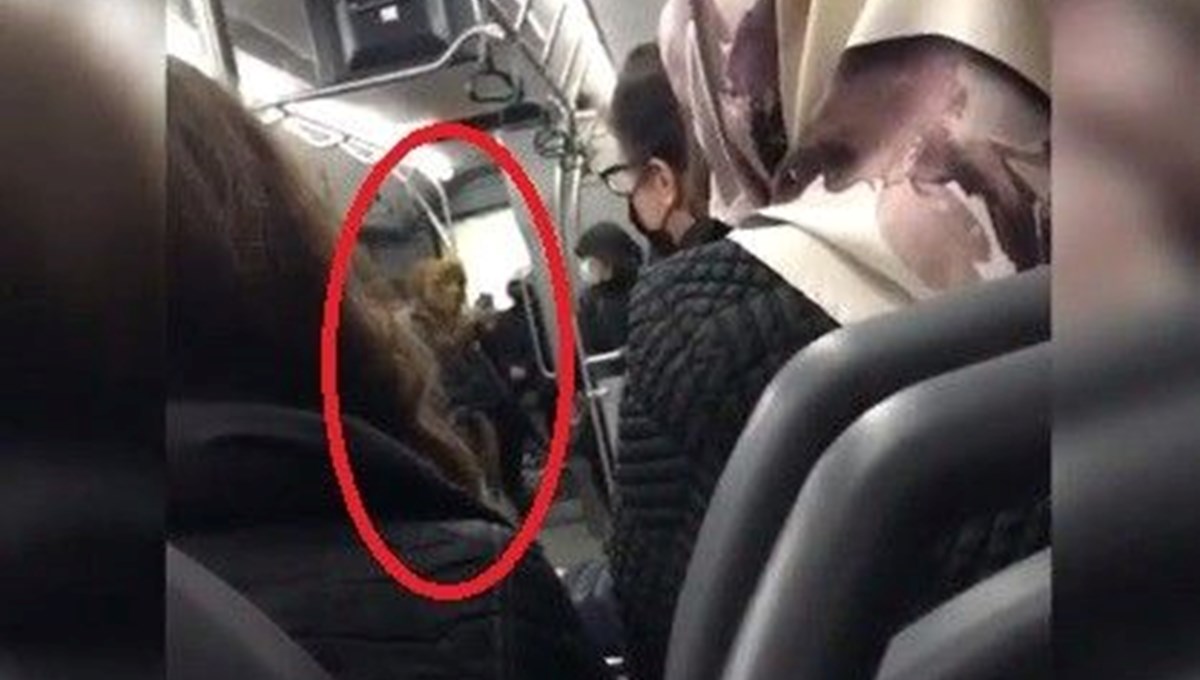 Maskesiz kadın ortalığı ayağa kaldırdı