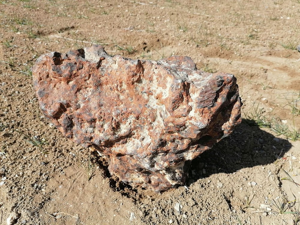 Çorum'dan ABD'ye: Tarlasında buldu, 1.3 milyon liraya sattı - 2