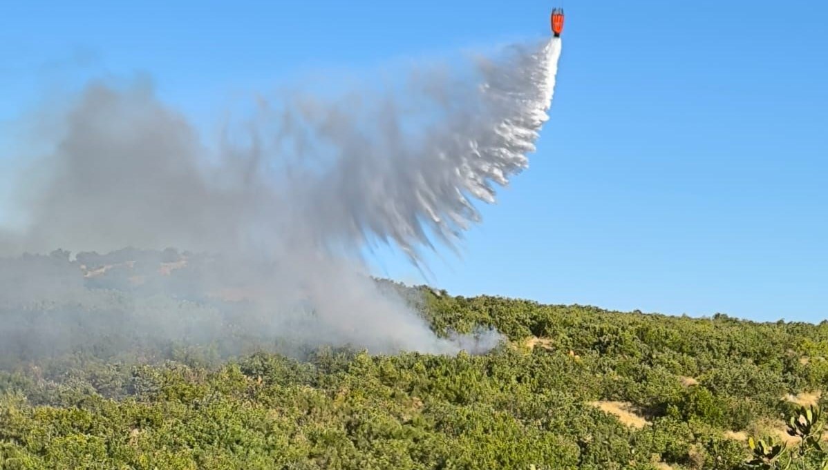 Diyarbakır'da orman yangını