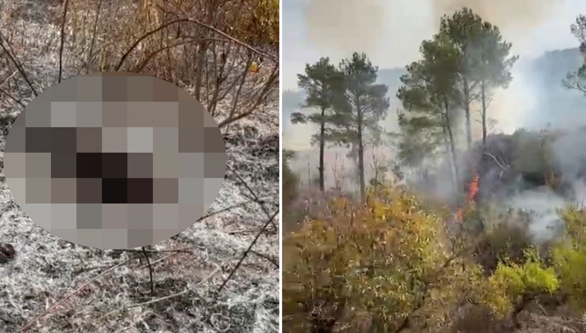 Otları temizlemek isterken canından oldu