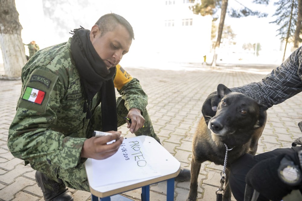 Meksika'nın arama kurtarma köpeği Proteo'ya Adıyaman'da hüzünlü veda: 3 kişinin enkazdan çıkmasını sağladı - 4