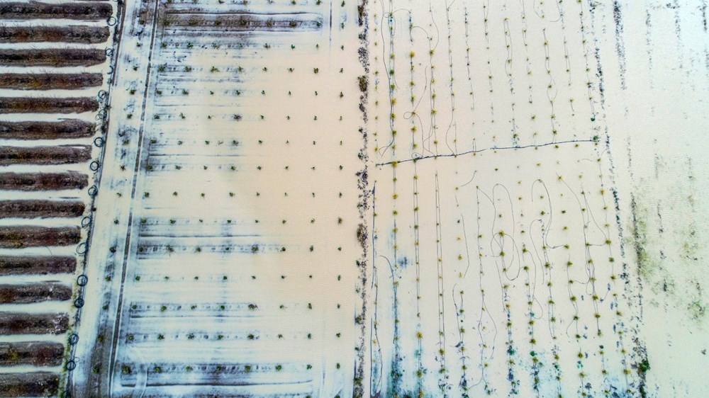 Turuncu alarmın verildiği Antalya'da, Acısu Deresi'nin taşma riski var - 25