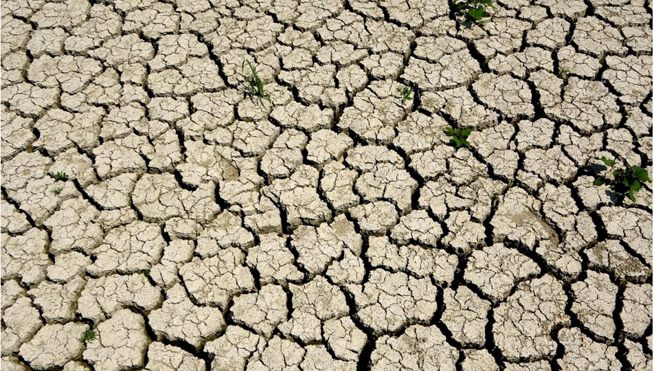 Ege, son 18 yılın en kurak sezonunu yaşıyor - Son Dakika Türkiye Haberleri | NTV Haber