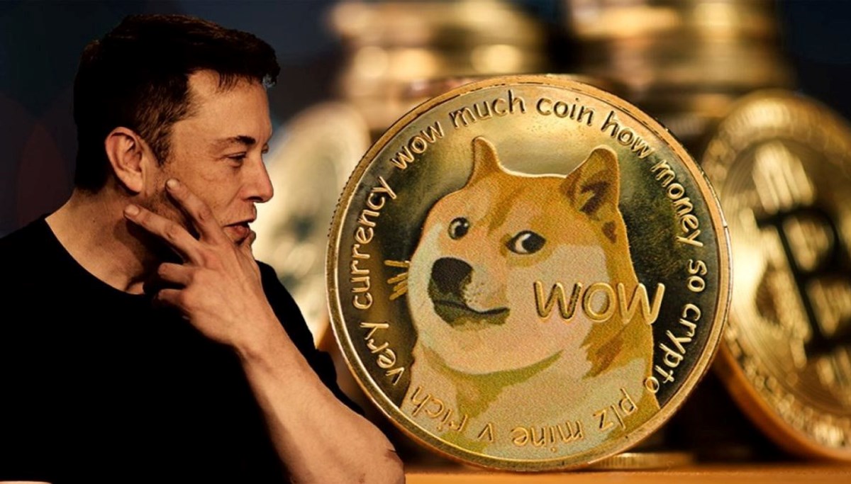 Dogecoin'in simgesi Kabosu hayatını kaybetti