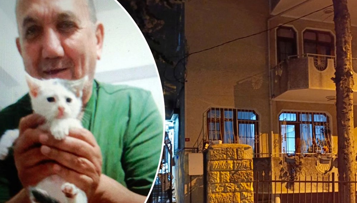 Kedileri beslemek isterken yaşamını yitirdi Kedileri beslemek isterken yaşamını yitirdi