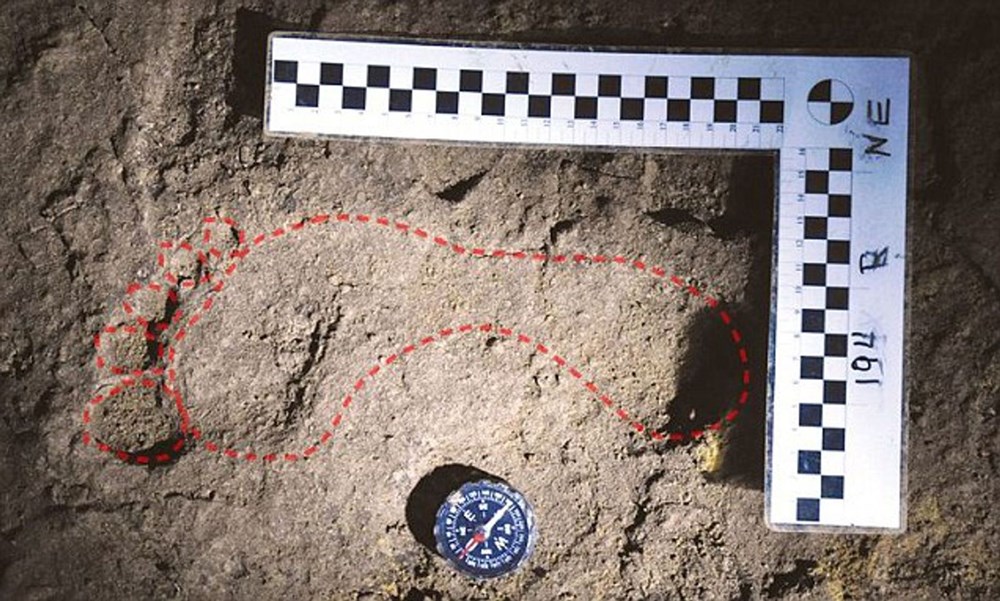 Romanya'nın Transilvanya bölgesinde onlarca insan iskeleti içeren 6 bin yıllık mezarlık bulundu: İnsanlık tarihinin bilinmeyenleri açığa çıktı - 6