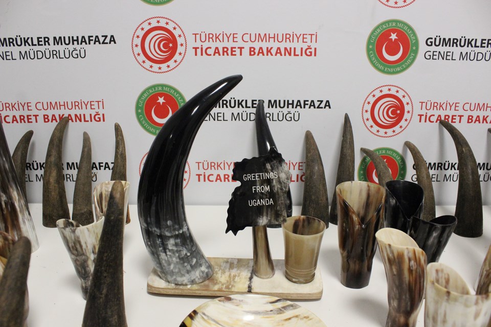 İstanbul Havalimanı'nda 310 bin lira değerinde 77 adet bufalo boynuzu ele geçirildi - 2
