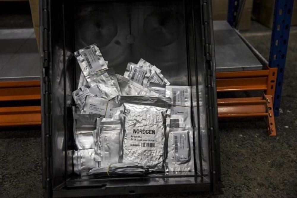 21 TB'lık açık kaynaklı kod 'insanlığın son umudu'na taşındı - 6